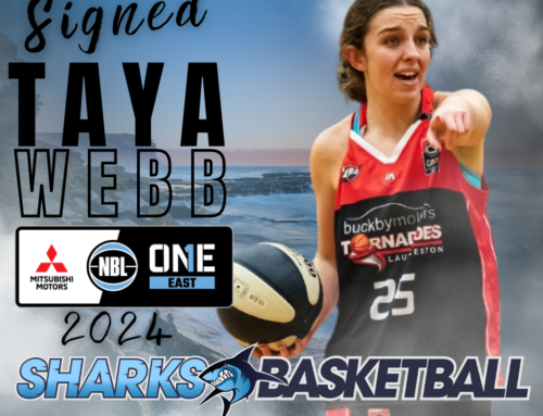 TAYA WEBB JOINS THE SHARKS: A GREAT ADDITION TO OUR NBL1 EAST WOMENS TEAM!