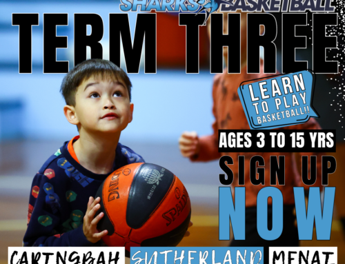 LEARN TO PLAY IN TERM 3