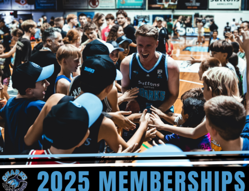 2025 NBL1 SHARKS MEMBERSHIPS ON SALE NOW