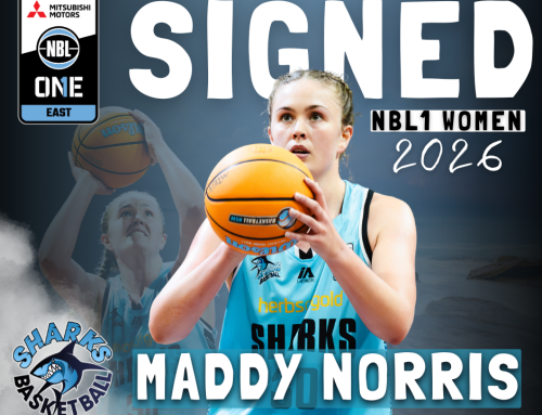 HNY SHARKS FANS. NORRIS IS A SHARK FOR NBL1 EAST 26!