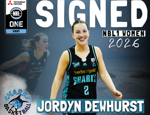 YOUNG SHARK READY TO SHINE IN 2026