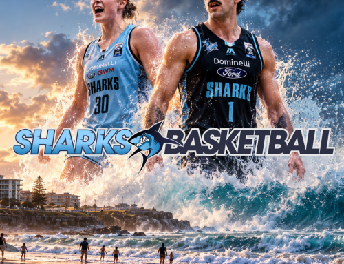 WE ARE LOOKING FOR BUSINESSES TO BACK THE SHARKS IN 2027